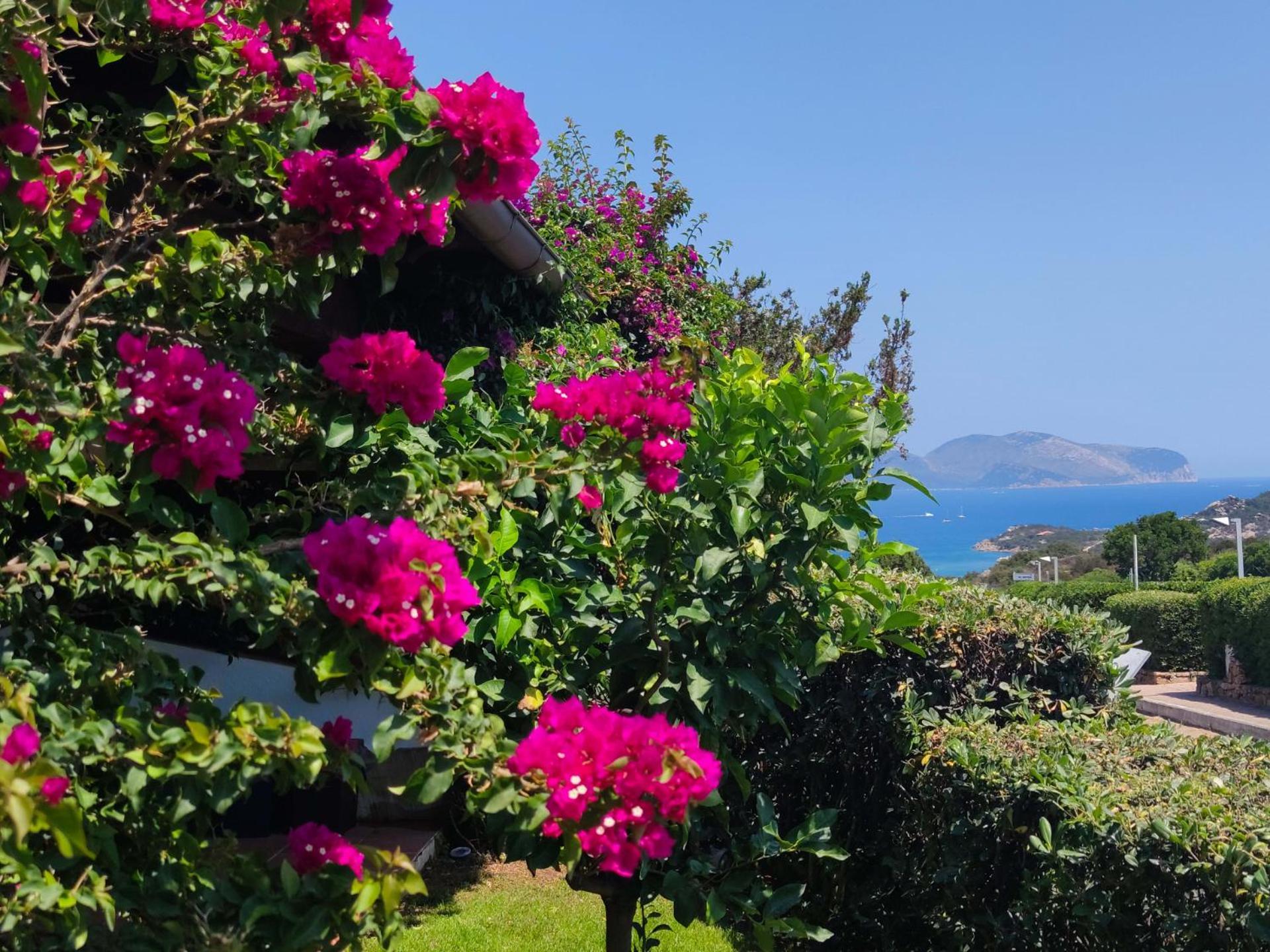 Capo Ceraso Family Resort Costa Corallina Room photo